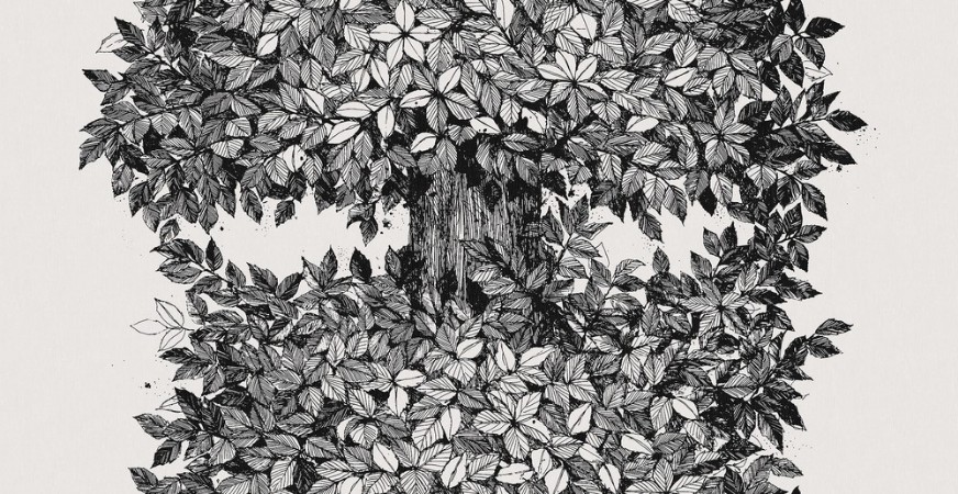 Viola Gråsten Hassel wallpaper Boråstapeter