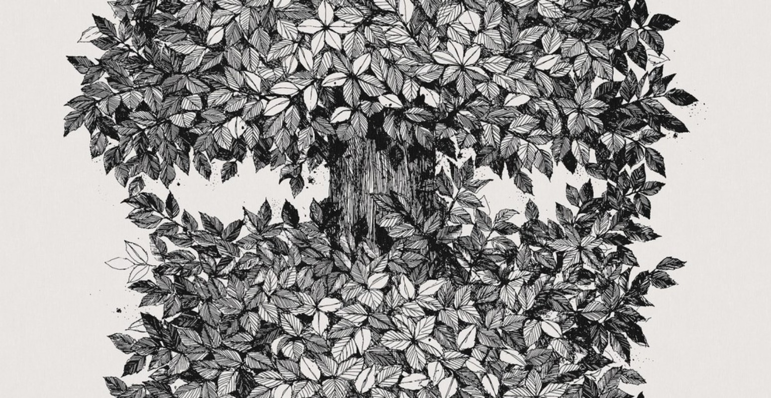 Viola Gråsten Hassel wallpaper Boråstapeter