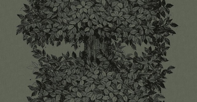 Viola Gråsten Hassel wallpaper Boråstapeter