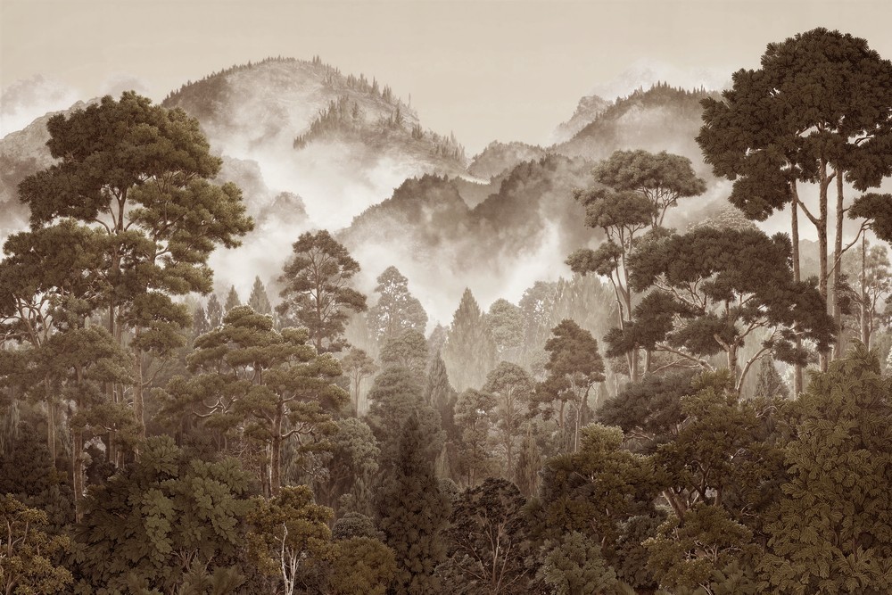 Image of 
