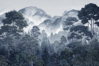 Picture of Fog Over Mountains II