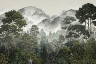 Picture of Fog Over Mountains III