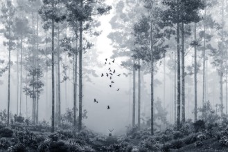 Picture of Early Morning Walk I