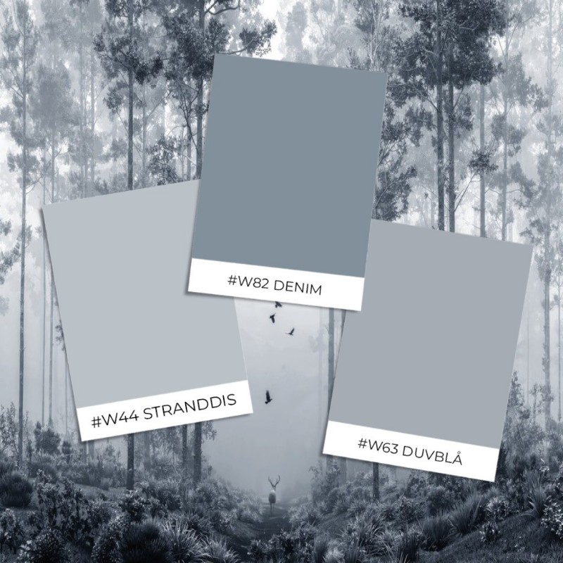 Picture of Väriyhdistelmä Early Morning Walk I - 09699-01