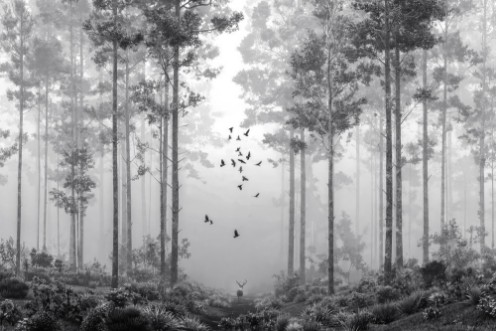 Bild på Early Morning Walk II