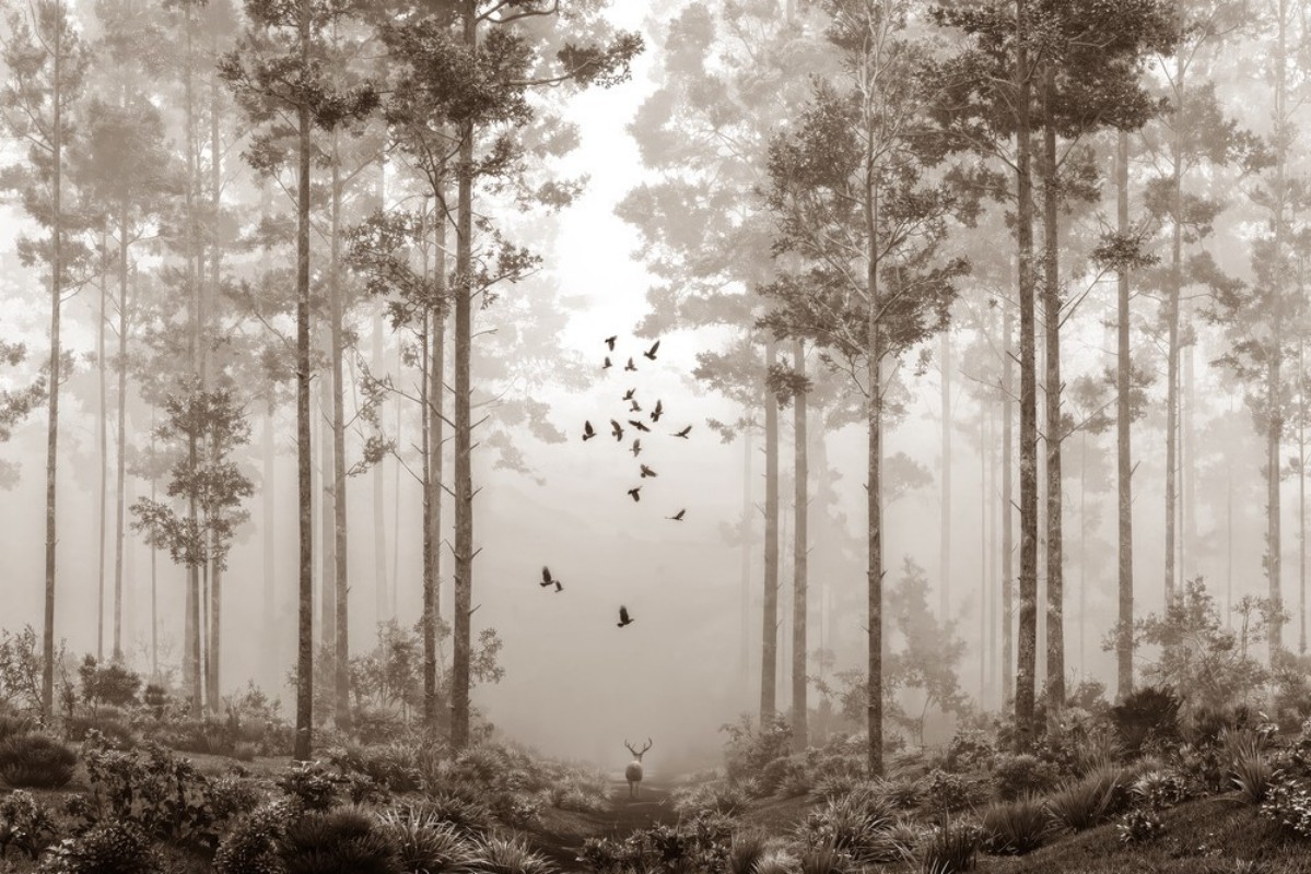 Picture of Väriyhdistelmä Early Morning Walk III - 09701-01