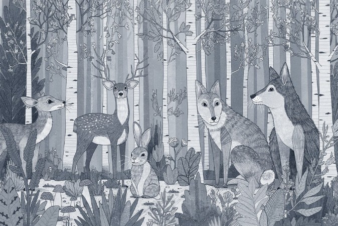 Afbeeldingen van Best Friends in Forest II