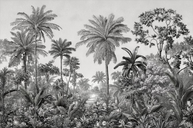 Afbeeldingen van Palm Paradise III