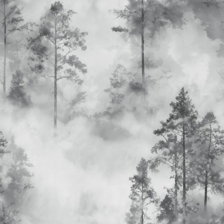 Afbeeldingen van Corentin Dark Grey - 1050101-04