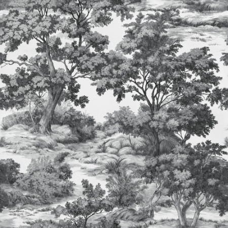 Afbeeldingen van Elliot Grey - 1066301-05