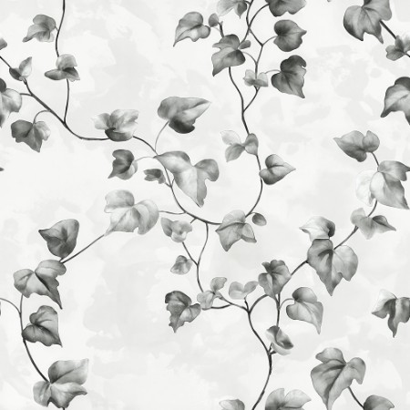 Afbeeldingen van Valentine Grey - 1061501-06