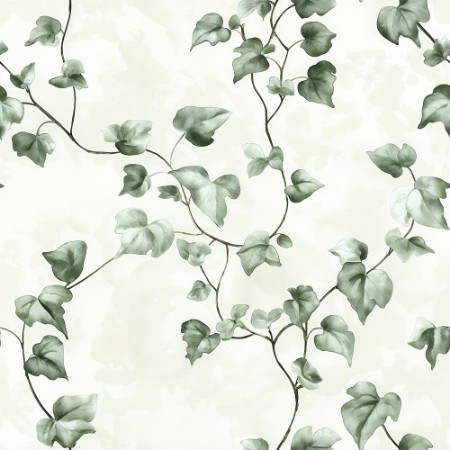 Afbeeldingen van Valentine Green - 1061501-07