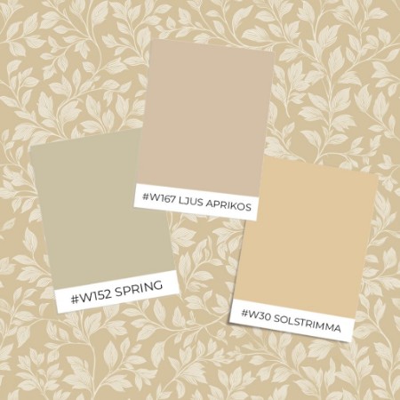 Bild på Färgsättning Andre Yellow - 1081701-05 - 10048-01