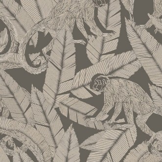 Bild på Monkey Rock - TRI002