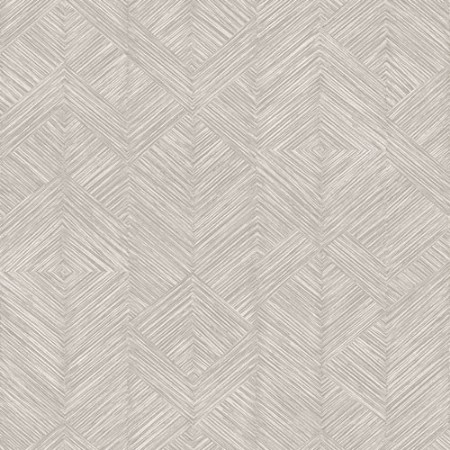 Bild på Enitan Moonbeam - TRI104