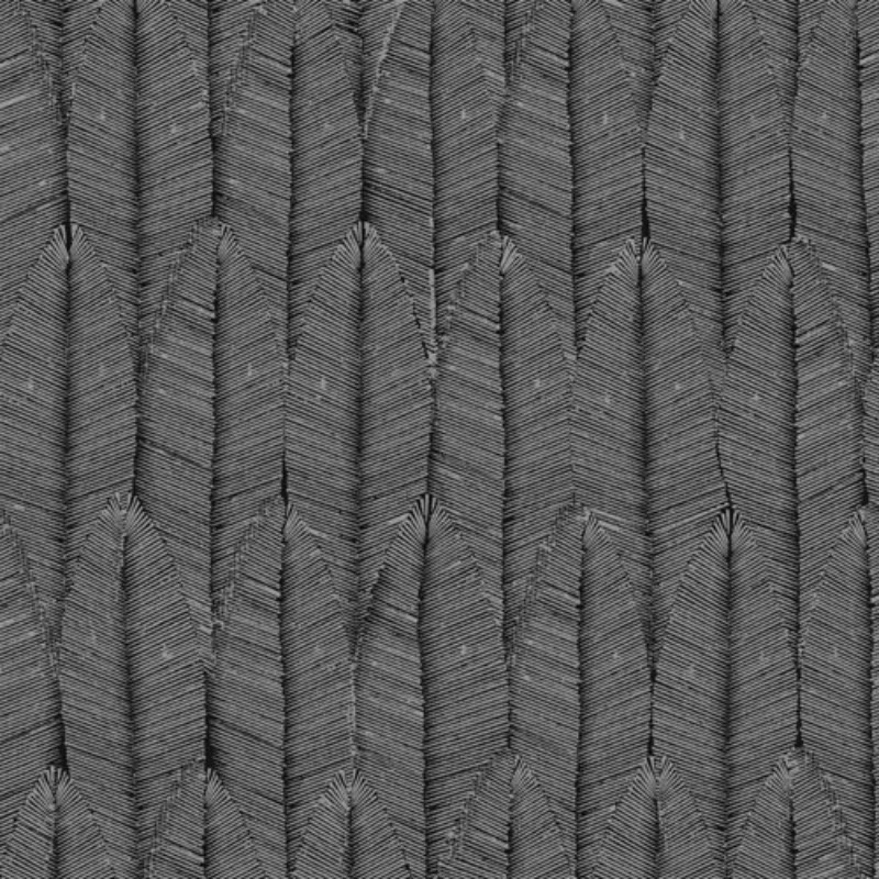 Bild på Ayo Night - TRI502