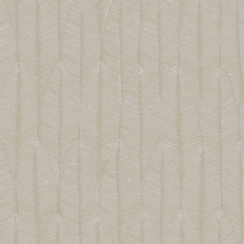 Bild på Ayo Lunar - TRI503