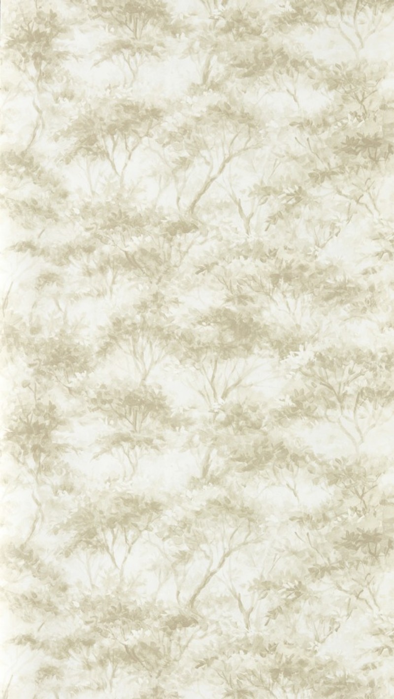 Boschetto Savannah - CCW0164-02 wallpaper Clarke & Clarke