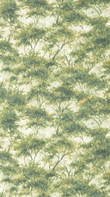 Boschetto Forest - CCW0164-03 wallpaper Clarke & Clarke