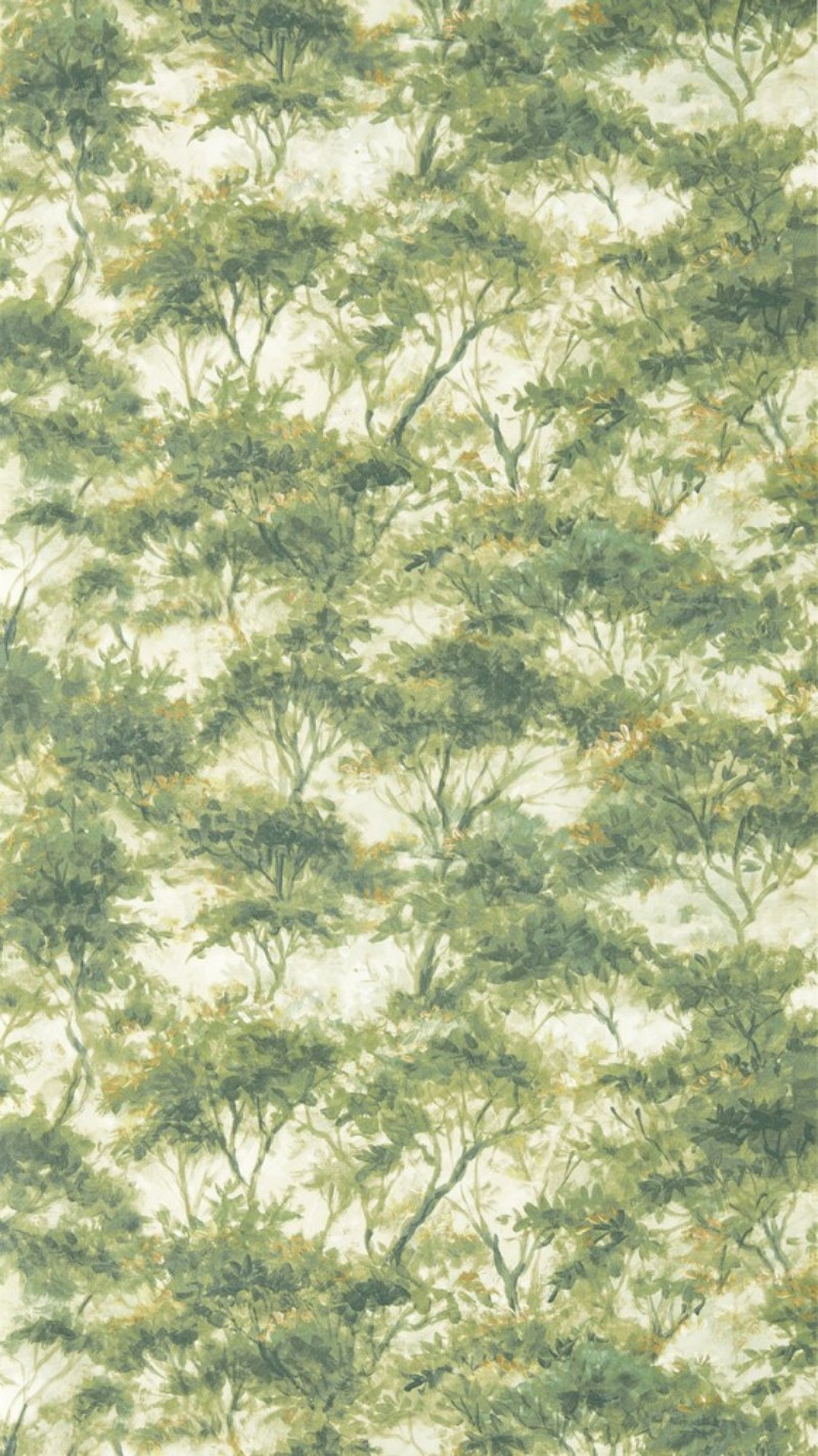 Boschetto Forest - CCW0164-03 wallpaper Clarke & Clarke