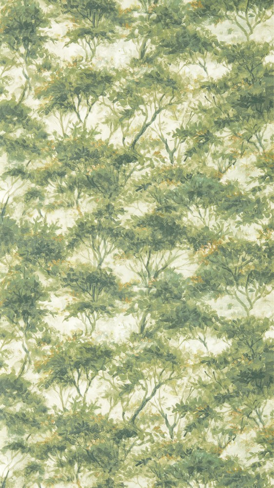 Boschetto Forest - CCW0164-03 wallpaper Clarke & Clarke