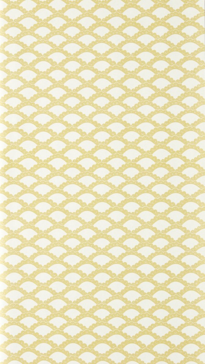 Scallop Frill Buttercup - NPOP113393 wallpaper Scion