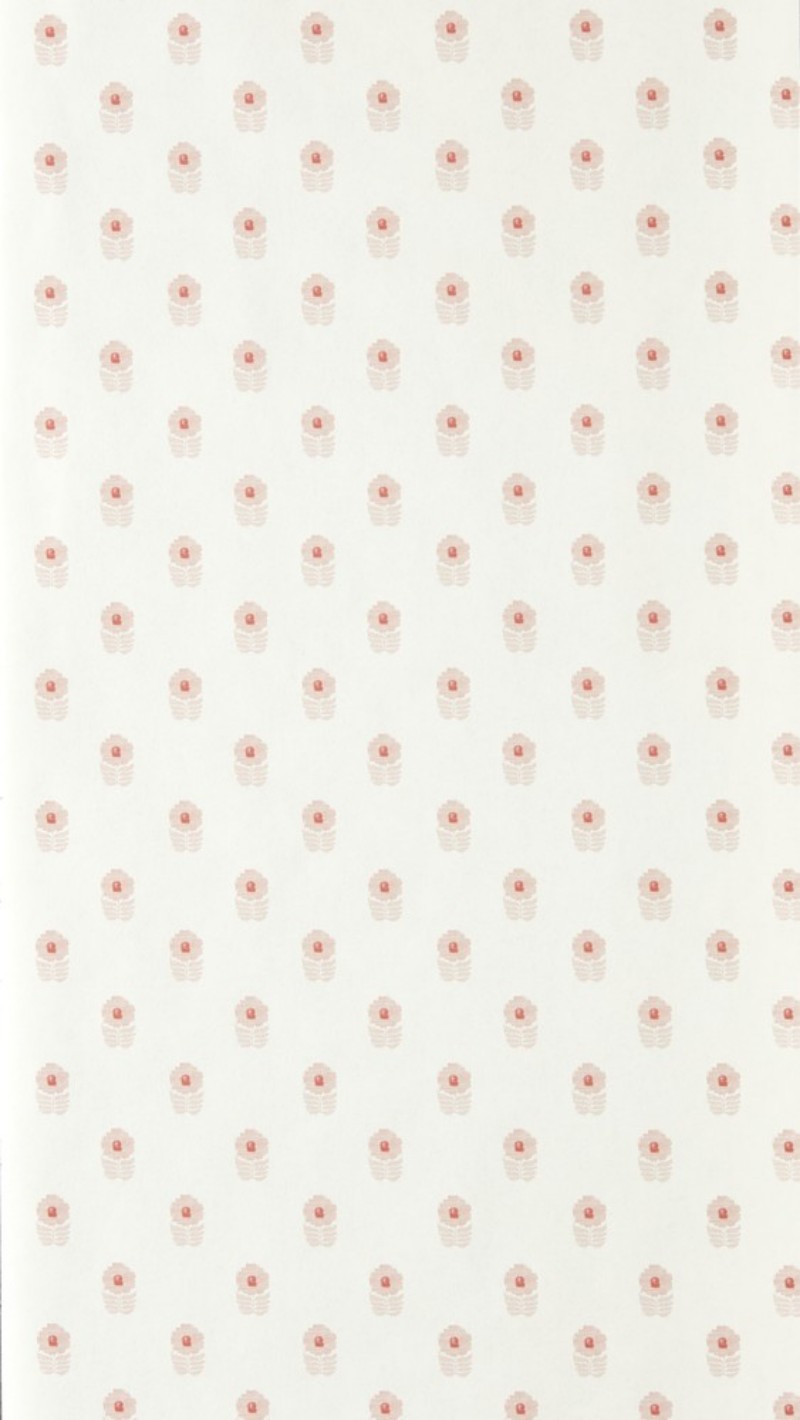 Ditsy Daisy Blush - NPOP113407 wallpaper Scion