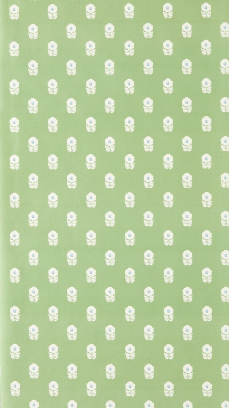 Ditsy Daisy Jade - NPOP113408 wallpaper Scion