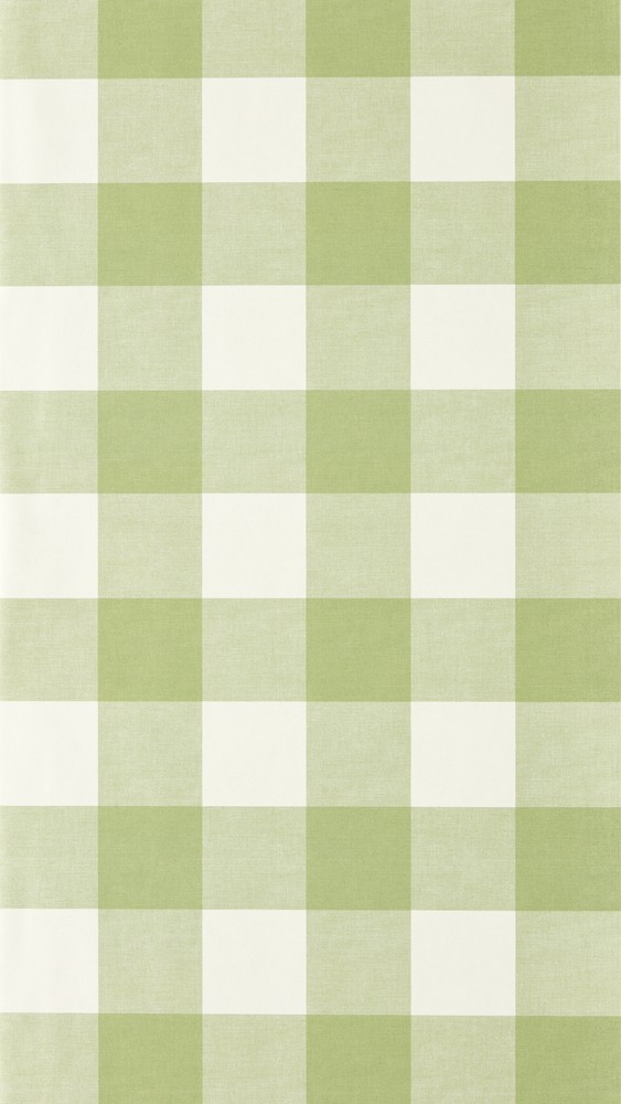 Central Check Pea Green - NPOP113417 wallpaper Scion