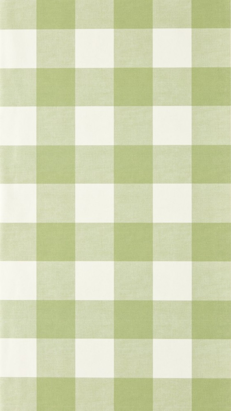 Central Check Pea Green - NPOP113417 wallpaper Scion