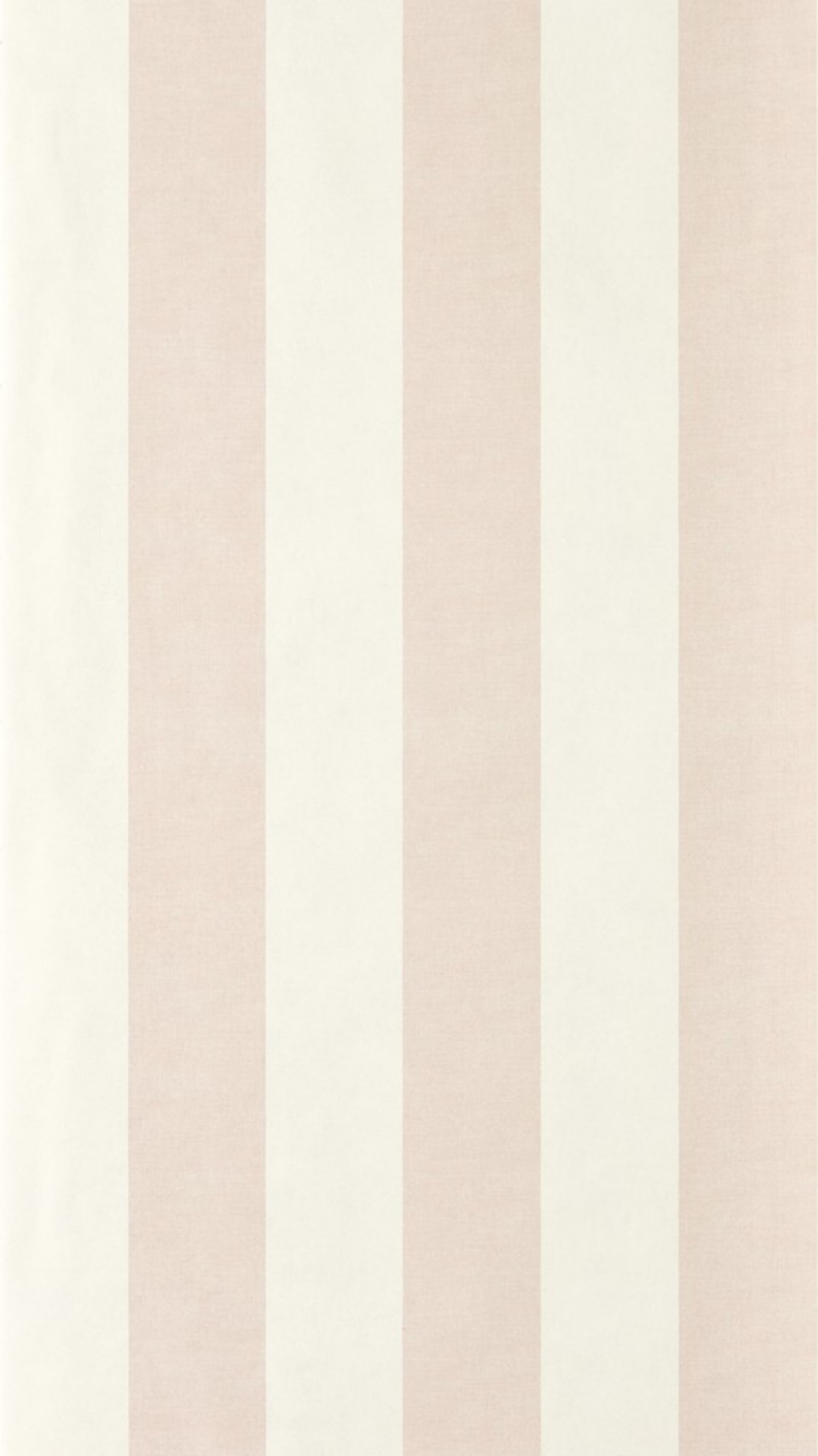 Central Stripe Blush - NPOP113418 wallpaper Scion