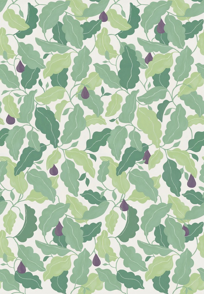 Pomona Fig Fig/Forest - NPOP113425 wallpaper Scion