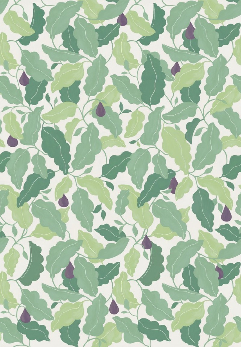 Pomona Fig Fig/Forest - NPOP113425 wallpaper Scion