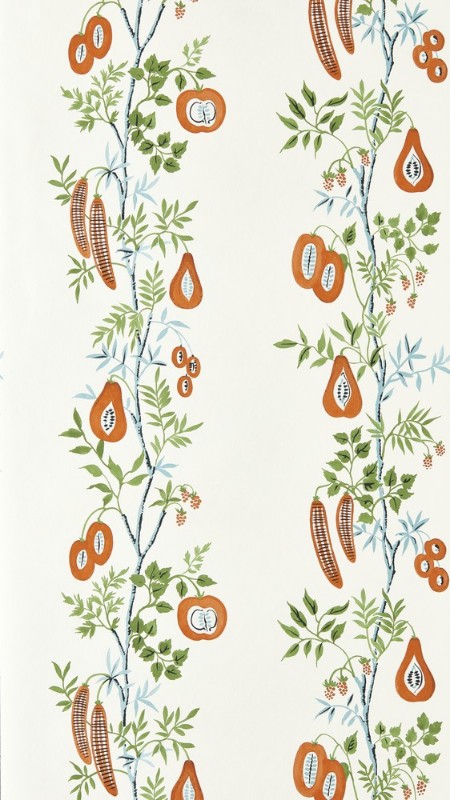 On The Vine Tangerine/Kelly Green - NPOP113384 wallpaper Scion