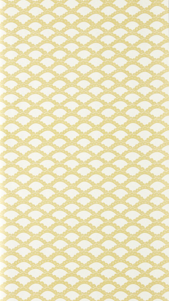 Scallop Frill Buttercup - NPOP113393 wallpaper Scion