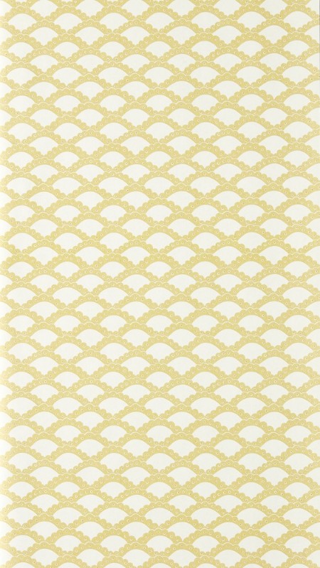 Scallop Frill Buttercup - NPOP113393 wallpaper Scion