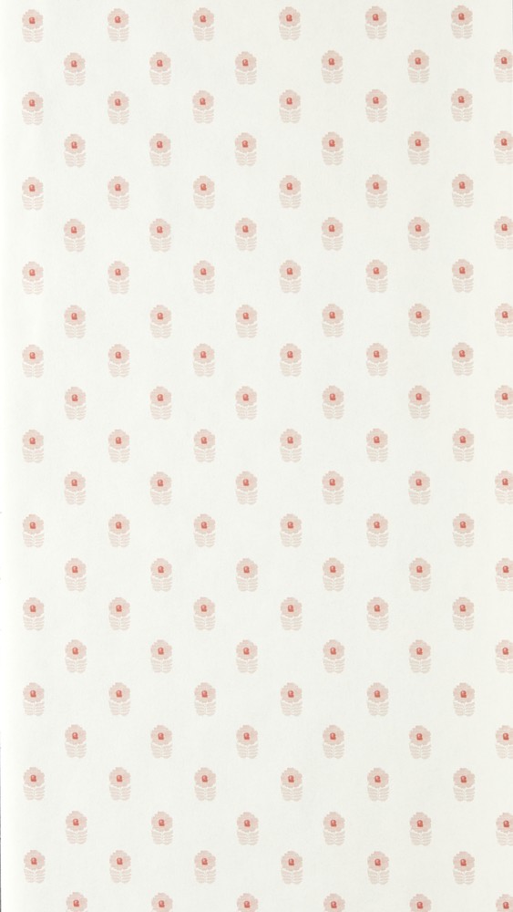 Ditsy Daisy Blush - NPOP113407 wallpaper Scion