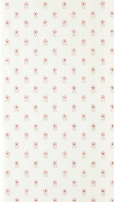 Ditsy Daisy Blush - NPOP113407 wallpaper Scion