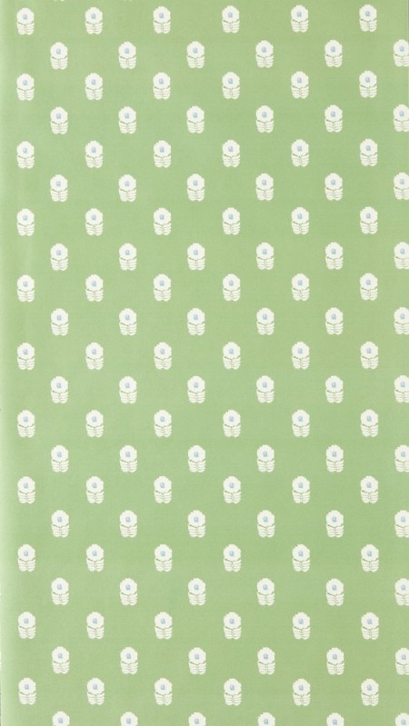 Ditsy Daisy Jade - NPOP113408 wallpaper Scion