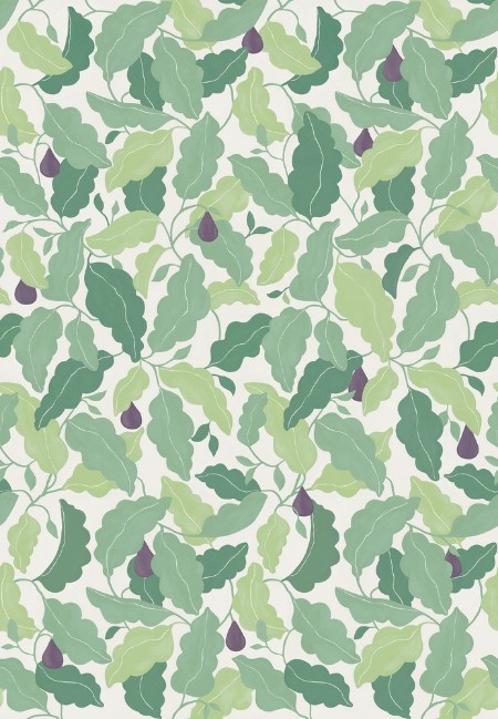 Pomona Fig Fig/Forest - NPOP113425 wallpaper Scion