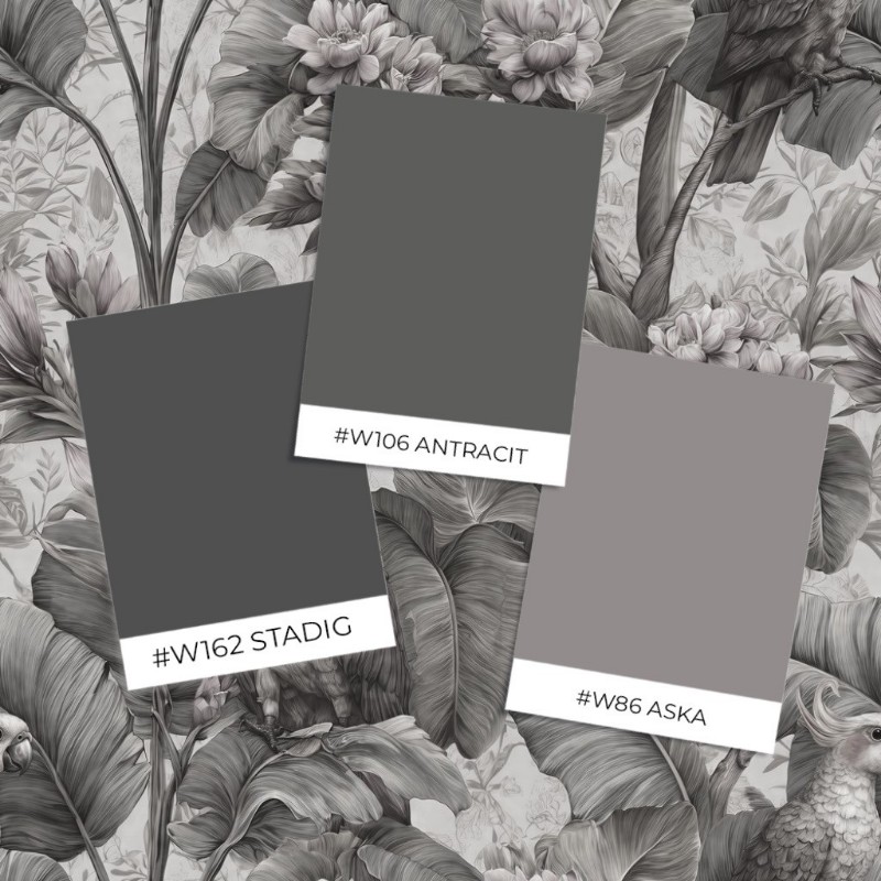 Picture of Väriyhdistelmä Paco Grey - 1108201-03 - 10212-01