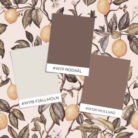 Picture of Sample style - Osby  Brown - 1062801-04