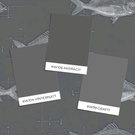 Bild på Färgsättning Amund Grey - 1097501-04 - 10404-01