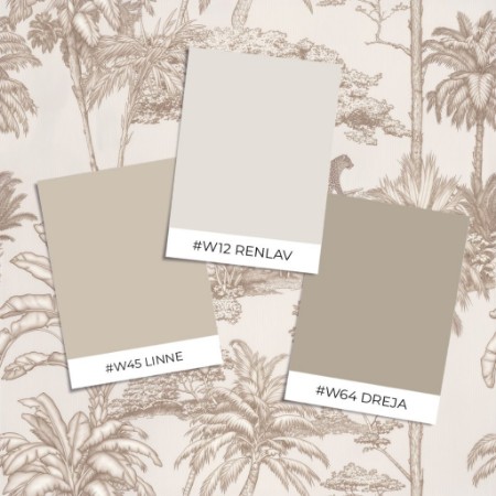 Bild på Färgsättning Anakao Brown - 1110901-03 - 10428-01