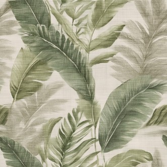 Bild på Baringo Green - 1111201-02