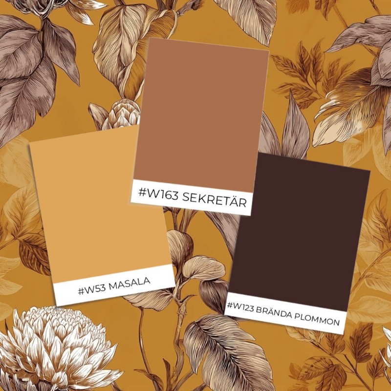 Picture of Tarifa Orange - 1111801-02