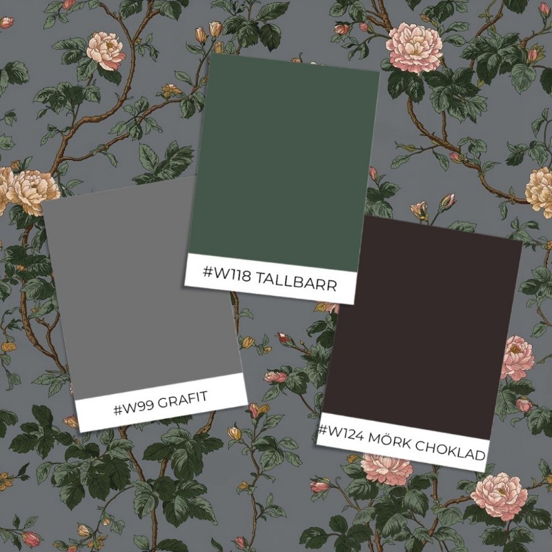 Picture of Ashley Grey - 1090501-02