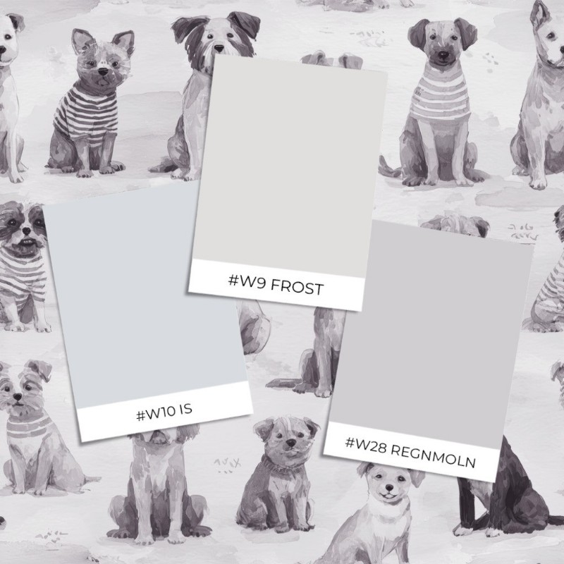 Picture of Buster Grey - 1096001-03