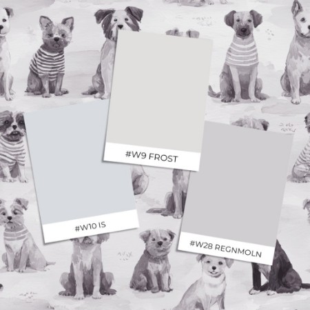 Picture of Väriyhdistelmä Buster Grey - 1096001-03 - 10841-01