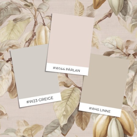 Coloring Taylor Beige - 1113001-01 - 10864-01 paint September